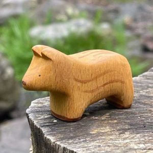 Boar piglet