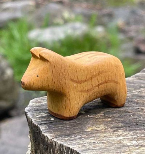 Boar piglet