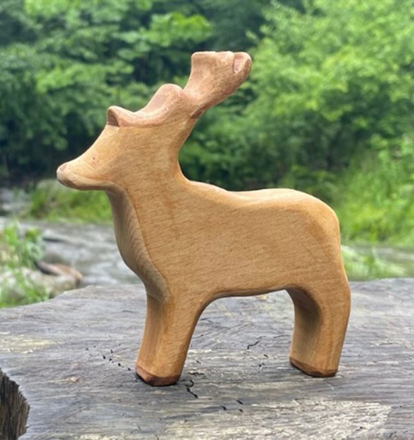 Male-deer