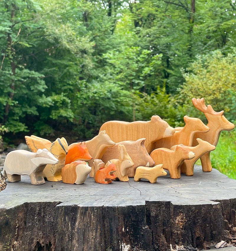 forest-animals forest-animals