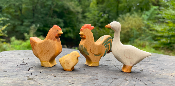 poultry poultry