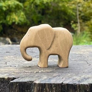 Elephant calf