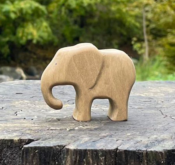 Elephant calf