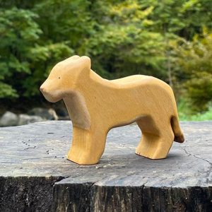 Female Lion