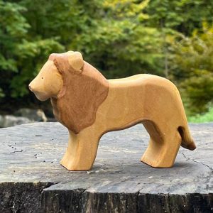 Male Lion