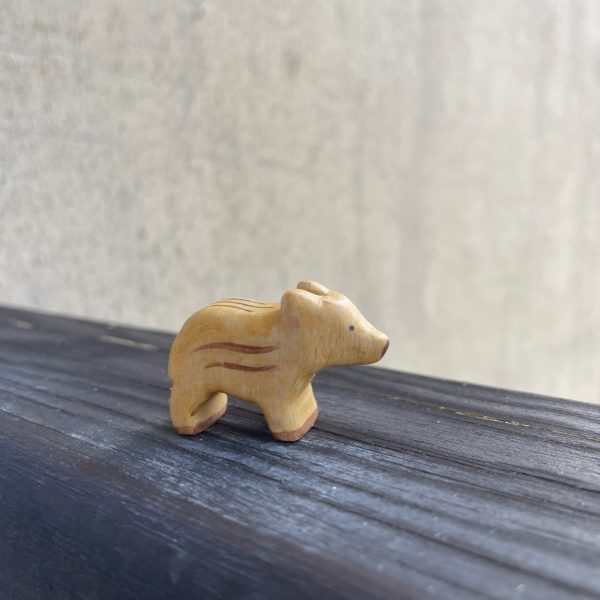 Boar piglet